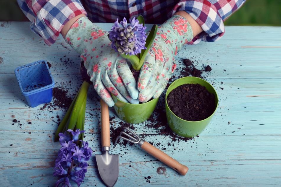 DIY gardener's hand scrub